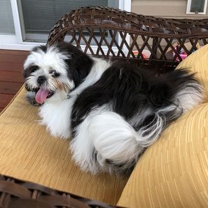 Meet your Posher, Jodie